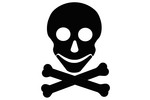 Thumbnail Skull and crossbone Thumbnail Skull and crossbone